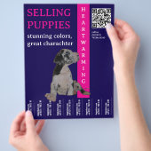 Pup te koop  flyer (Hand)