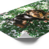 Pup van Airedale in het bloemveld Poster (Hoek)