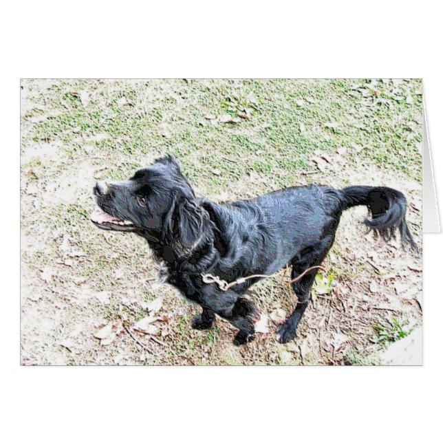 Pup wacht op een loopje (Voorkant Horizontaal)