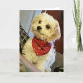 PUP WENST "JE TWEELING"/"BESTE VRIEND" VERJAARDAGS KAART (Voorkant)