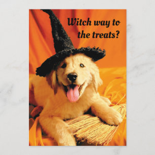 Pup with heks Pet and Broom Kaart