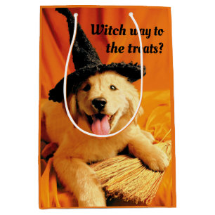 Pup with heks Pet and Broom Medium Cadeauzakje