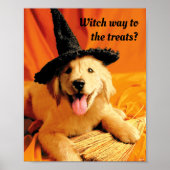 Pup with heks Pet and Broom Poster (Voorkant)