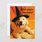 Pup with heks Pet and Broom Uitnodiging Briefkaart (Voorkant / Achterkant)