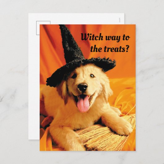 Pup with heks Pet and Broom Uitnodiging Briefkaart (Voorkant / Achterkant)