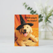 Pup with heks Pet and Broom Uitnodiging Briefkaart (Staand voorkant)