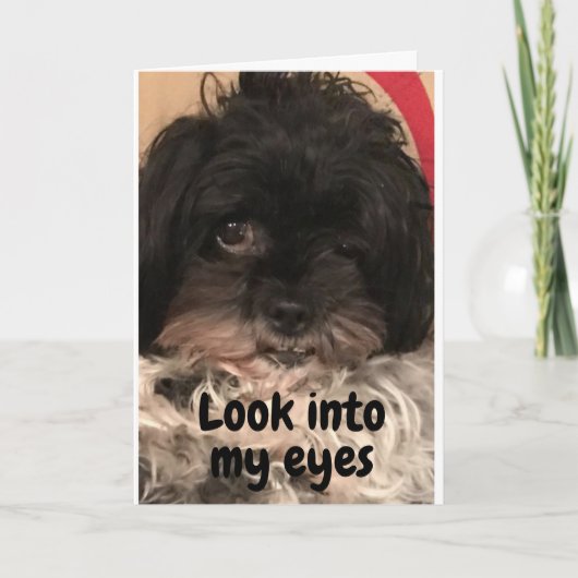 PUP ZEGT "HAPPY BIRTHDAY" AAN U! KAART (Voorkant)