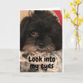 PUP ZEGT "HAPPY BIRTHDAY" AAN U! KAART (Gele Bloem)