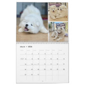 Pupatoes Calendar Kalender (Mar 2026)