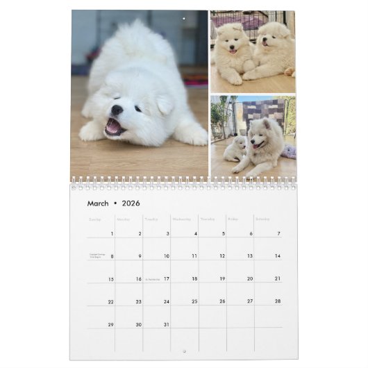 Pupatoes Calendar Kalender (Mar 2026)