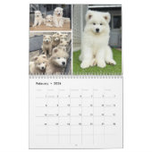 Pupatoes Calendar Kalender (Feb 2026)