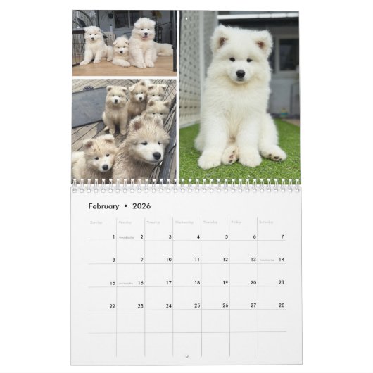 Pupatoes Calendar Kalender (Feb 2026)