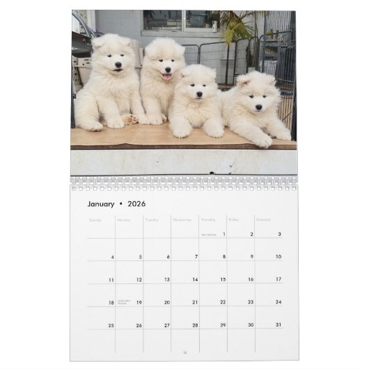 Pupatoes Calendar Kalender (Jan 2026)