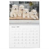 Pupatoes Kalender (Jan 2027)