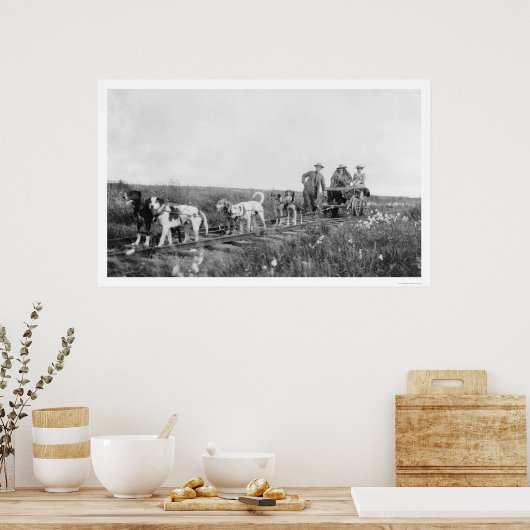 Pupmobile Train Nome, Alaska 1906 Poster (Keuken)