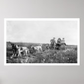 Pupmobile Train Nome, Alaska 1906 Poster (Voorkant)