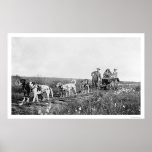Pupmobile Train Nome, Alaska 1906 Poster