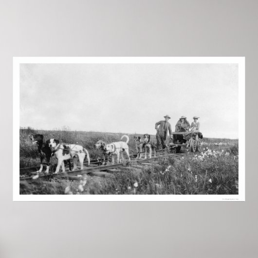 Pupmobile Train Nome, Alaska 1906 Poster (Voorkant)