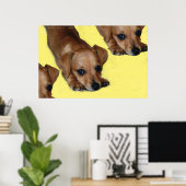 PUPNOSE POSTER (Thuiskantoor)