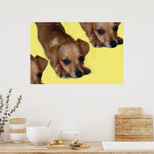 PUPNOSE POSTER (Keuken)