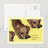 Pupnosis Haiku Art Briefkaart - Verzamelbaar Brief (Voorkant / Achterkant)
