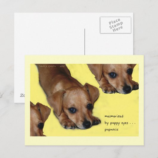 Pupnosis Haiku Art Briefkaart - Verzamelbaar Brief (Voorkant / Achterkant)