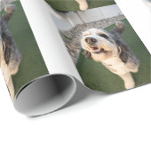 Pupper Socks Cadeaupapier (Rol Hoek)