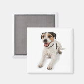 puppie magneet (Voorkant / Achterkant)