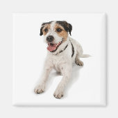 puppie magneet (Voorkant)