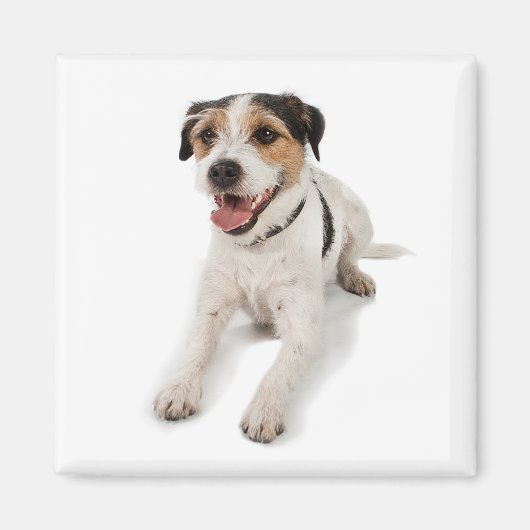 puppie magneet (Voorkant)