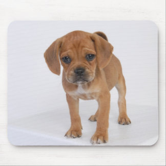 Puppierpad Muismat
