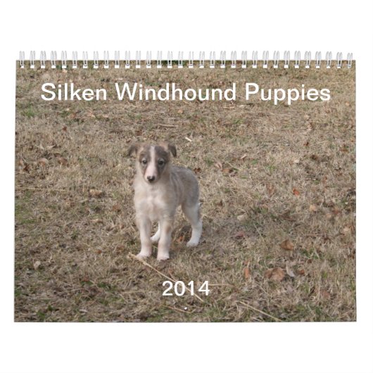puppies 1-2 van Silken Windhound 2014 Kalender (Hoes)