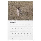 puppies 1-2 van Silken Windhound 2014 Kalender (Jan 2027)