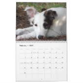 puppies 1-2 van Silken Windhound 2014 Kalender (Feb 2027)