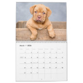 Puppies 2026 Calendar Kalender (Mar 2026)