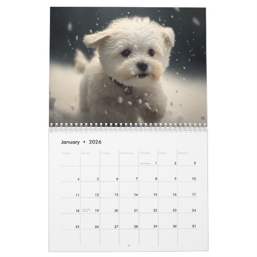 Puppies 2026 Calendar Kalender (Jan 2026)