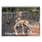 puppies 2-4 van Silken Windhound 2014 Kalender (Hoes)