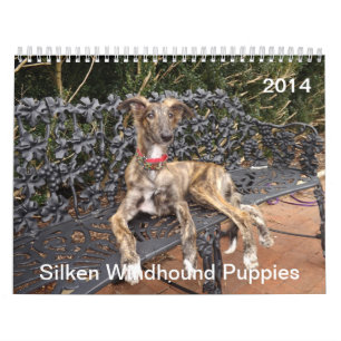 puppies 2-4 van Silken Windhound 2014 Kalender
