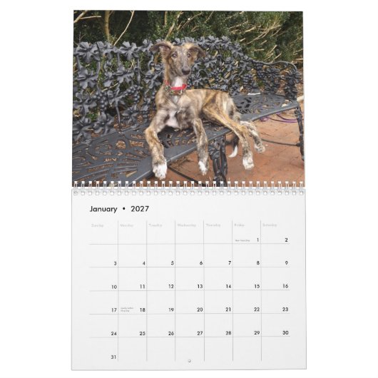 puppies 2-4 van Silken Windhound 2014 Kalender (Jan 2027)