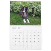 puppies 2-4 van Silken Windhound 2014 Kalender (Feb 2027)