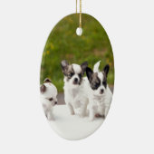 puppies-453532.jpg keramisch ornament (Rechts)