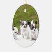 puppies-453532.jpg keramisch ornament (Links)