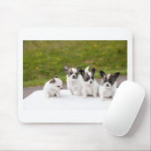 puppies-453532.jpg muismat (Met muis)