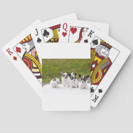 puppies-453532.jpg pokerkaarten