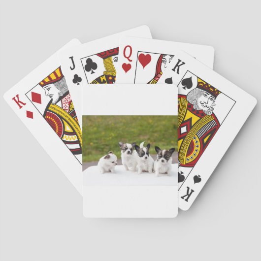 puppies-453532.jpg pokerkaarten (Achterkant)