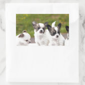 puppies-453532.jpg rechthoekige sticker (Tas)