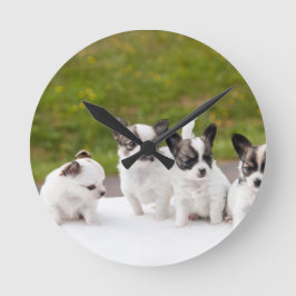 puppies-453532.jpg ronde klok
