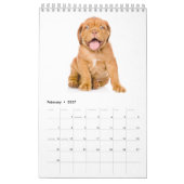 Puppies Agenda 2017 Kalender (Feb 2027)