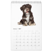 Puppies Agenda 2017 Kalender (Jan 2027)
