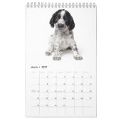 Puppies Agenda 2017 Kalender (Mar 2027)